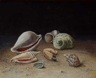 Muscheln.jpg